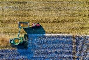 8 informações sobre letra de crédito do agronegócio